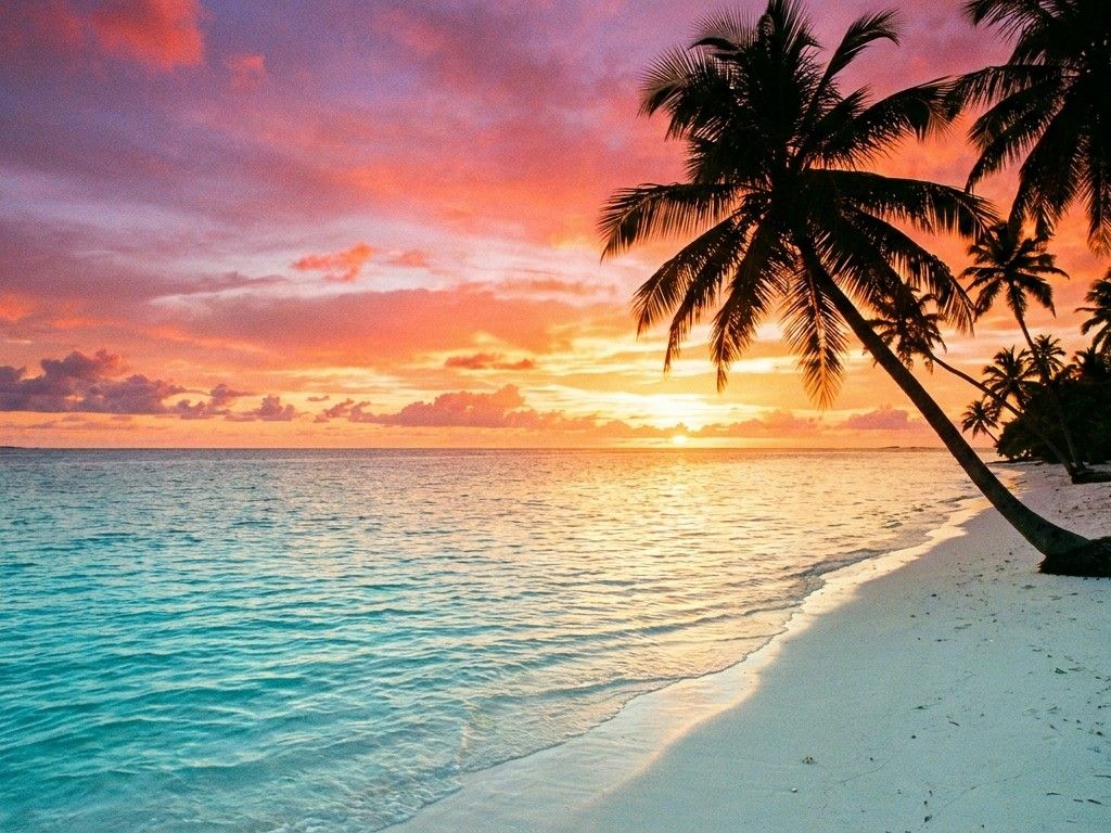 Tropical beach with turquoise water and palm trees at sunset, calm paradise, vivid colors