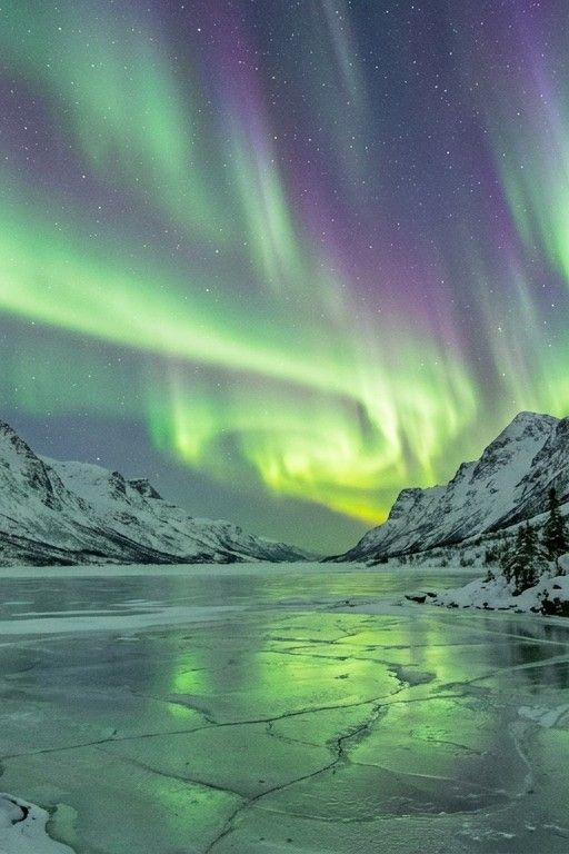 Northern lights dancing over a frozen lake with snowy mountains, long exposure, vivid gree